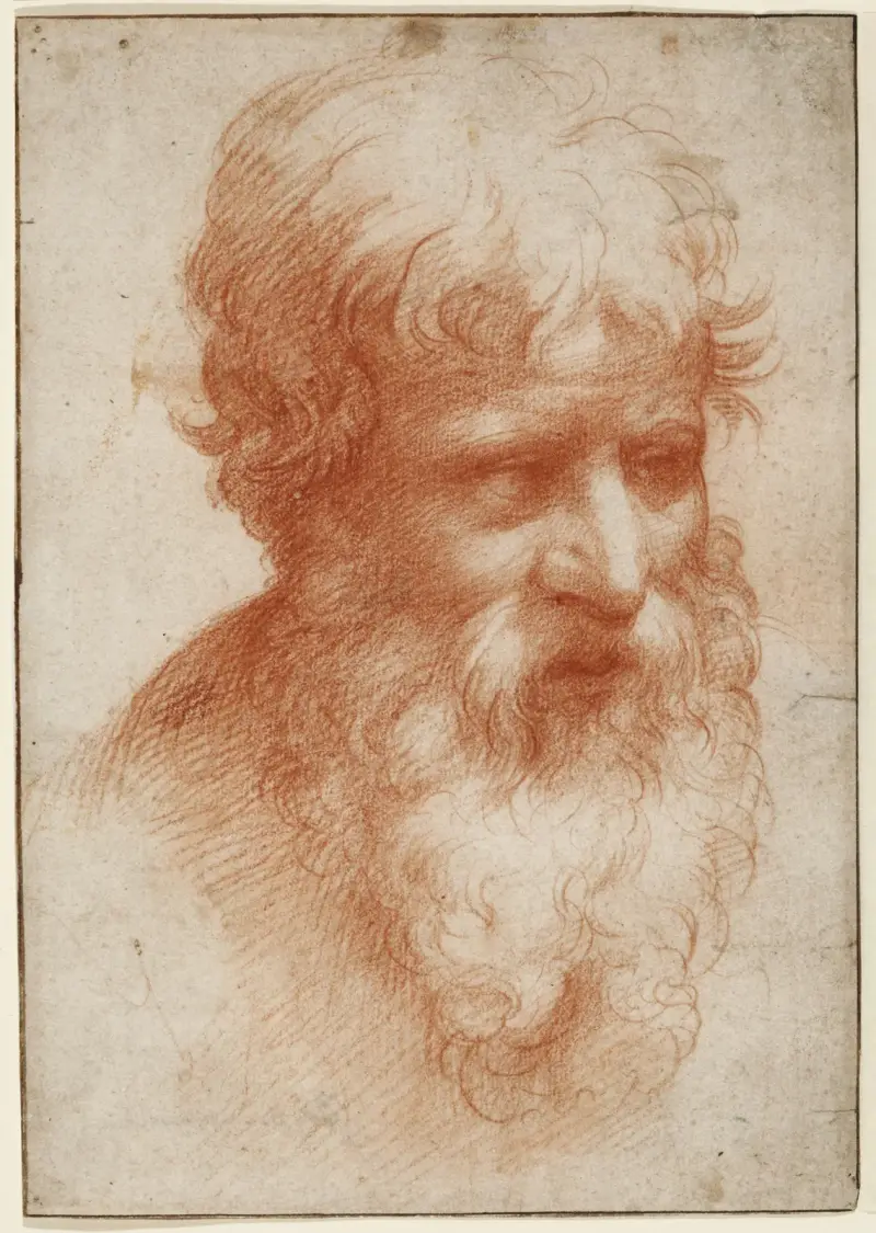 Kopf eines bärtigen Mannes, nach rechts blickend von Parmigianino