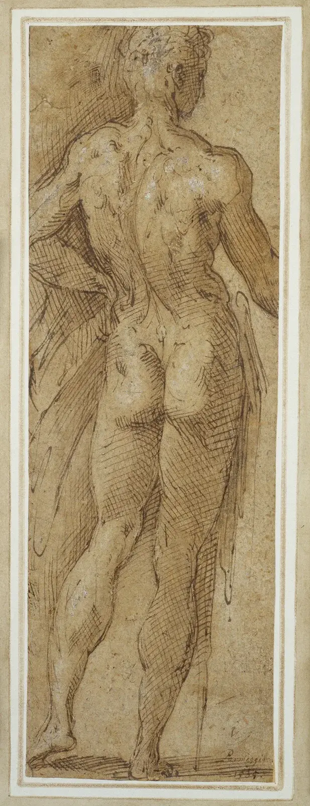 Stående manlig akt sedd bakifrån av Parmigianino