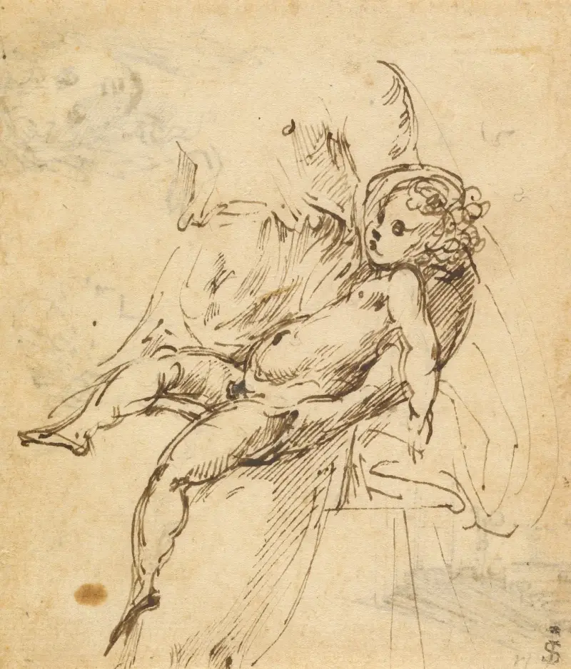 Studia nad Madonną z Dzieciątkiem, Parmigianino