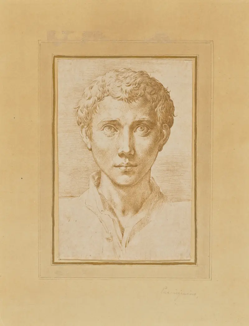 Der Kopf eines jungen Mannes von Parmigianino