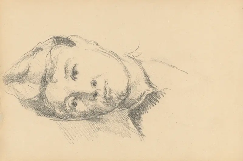 Madame Cézanne, 1886 – Nr. 2, Paul Cézanne