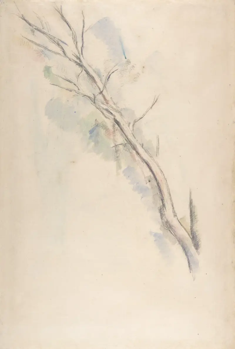 Study of a tree av Paul Cézanne