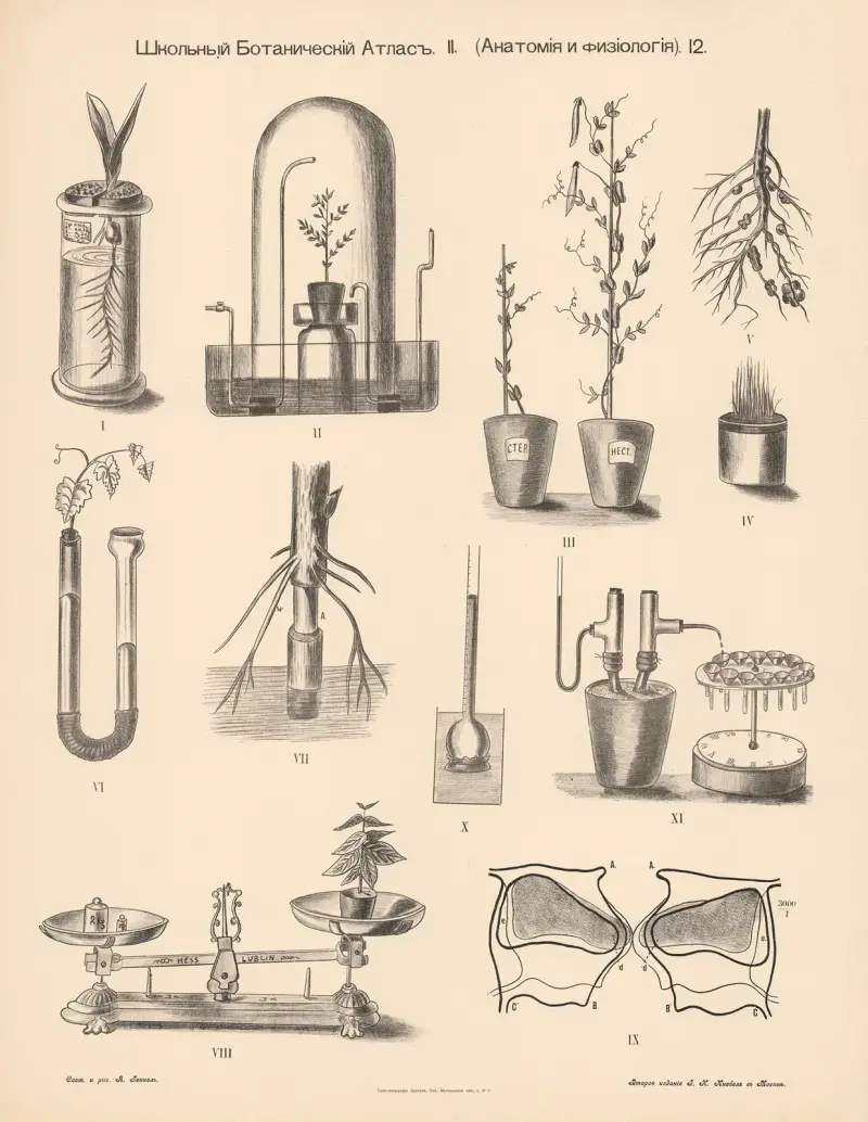 Various experiments av Alexander-Paul Henckel