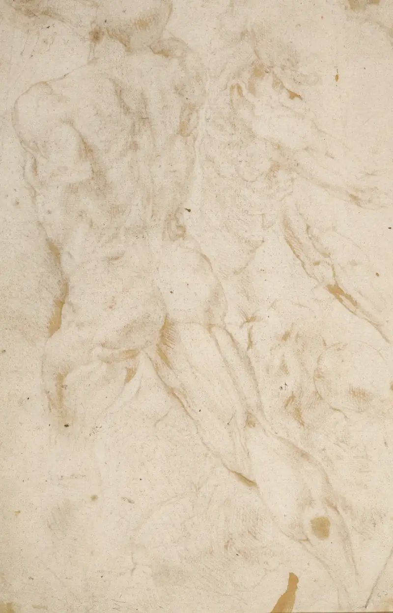Anatomische Studien, 1600 – Nr. 2 von Peter Paul Rubens