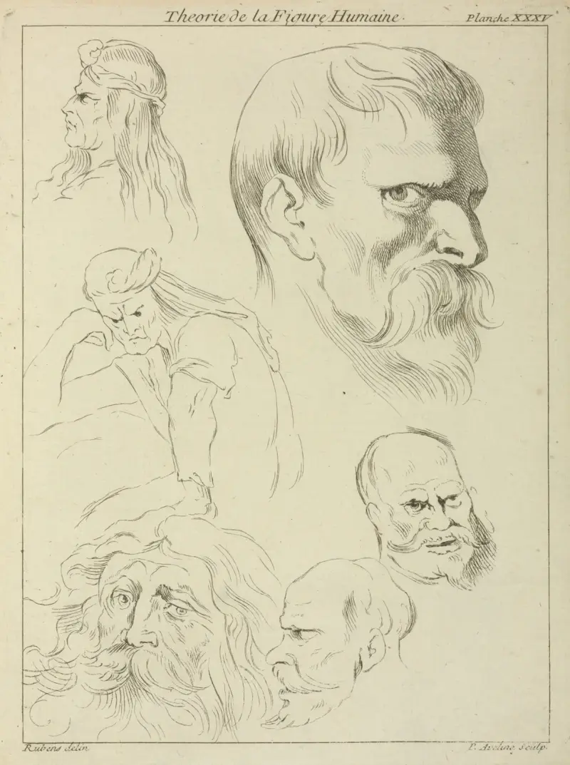 Fünf Studien von Männerköpfen mit verschiedenen Frisuren, Bärten und Schnurrbärten; eine sitzende Halbfigur von Peter Paul Rubens