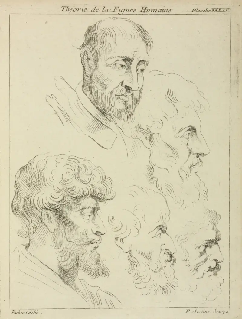 Fem studier av mäns huvuden, fyra i profil av Peter Paul Rubens