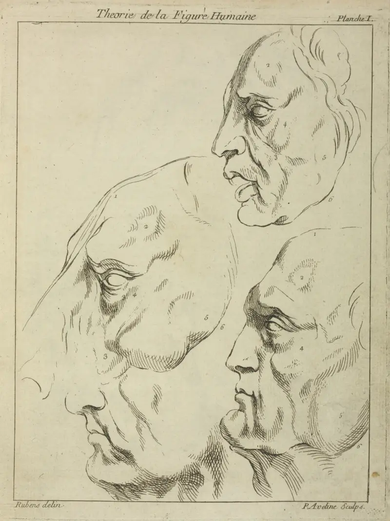 Vier Gesichter – drei menschliche, ein Pferdekopf – im Profil von Peter Paul Rubens
