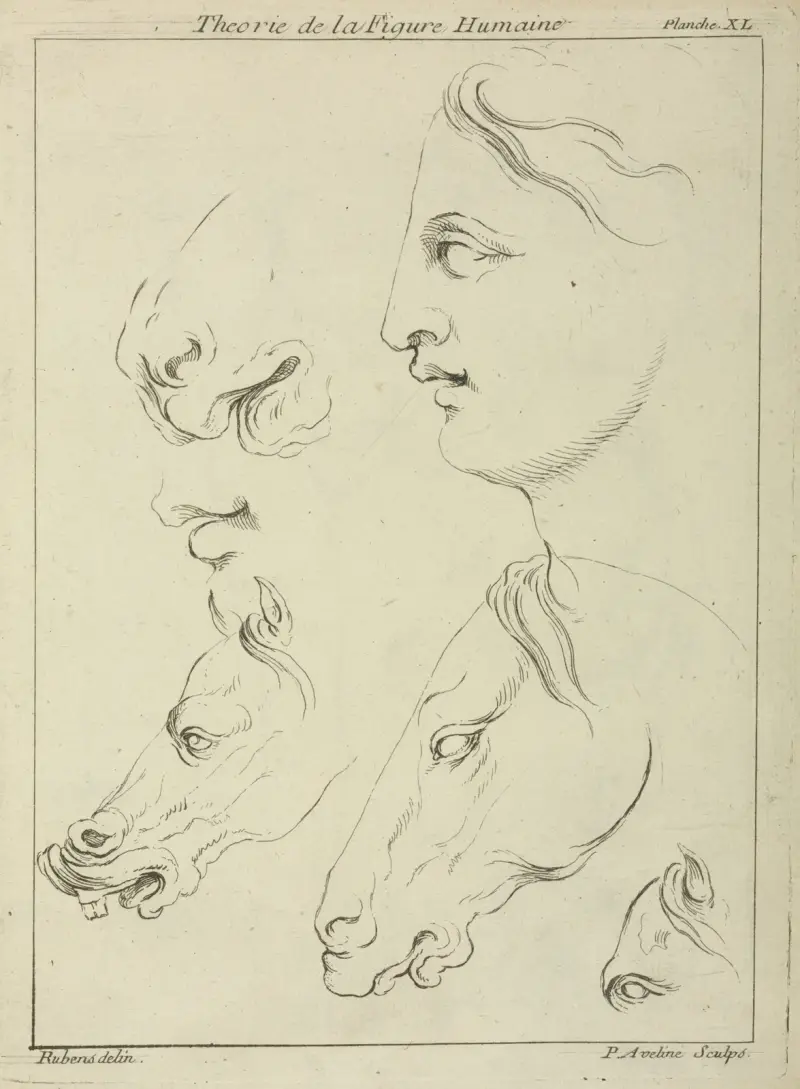 Hästhuvuden och människohuvud i profil, med detalj av hästöga och nos av Peter Paul Rubens