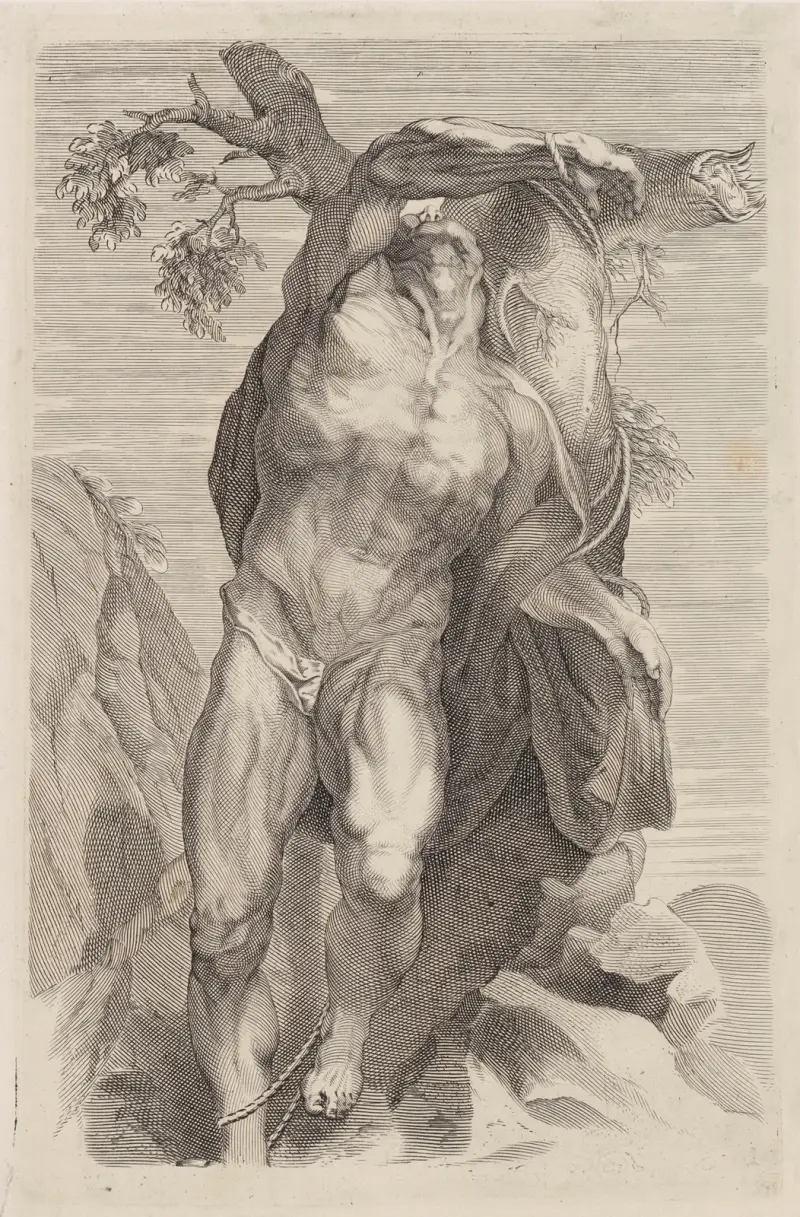 Naked Man Tied Up av Peter Paul Rubens