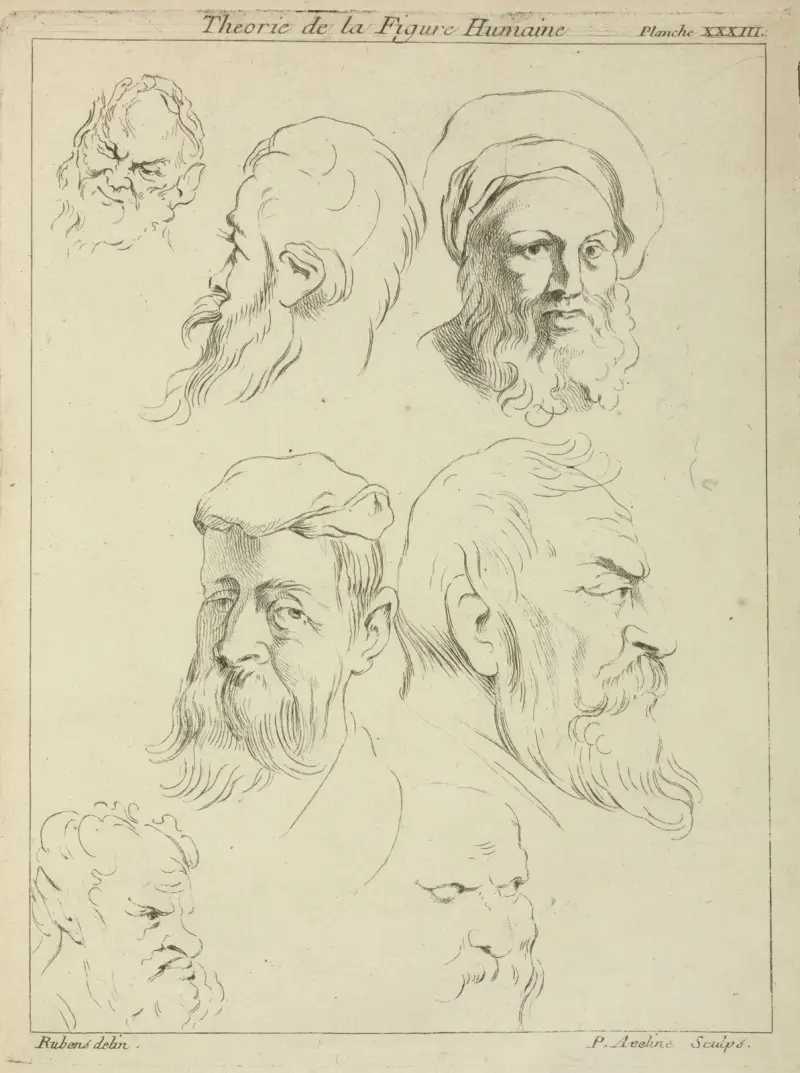 Seven male heads, all with beards, two wearing caps av Peter Paul Rubens