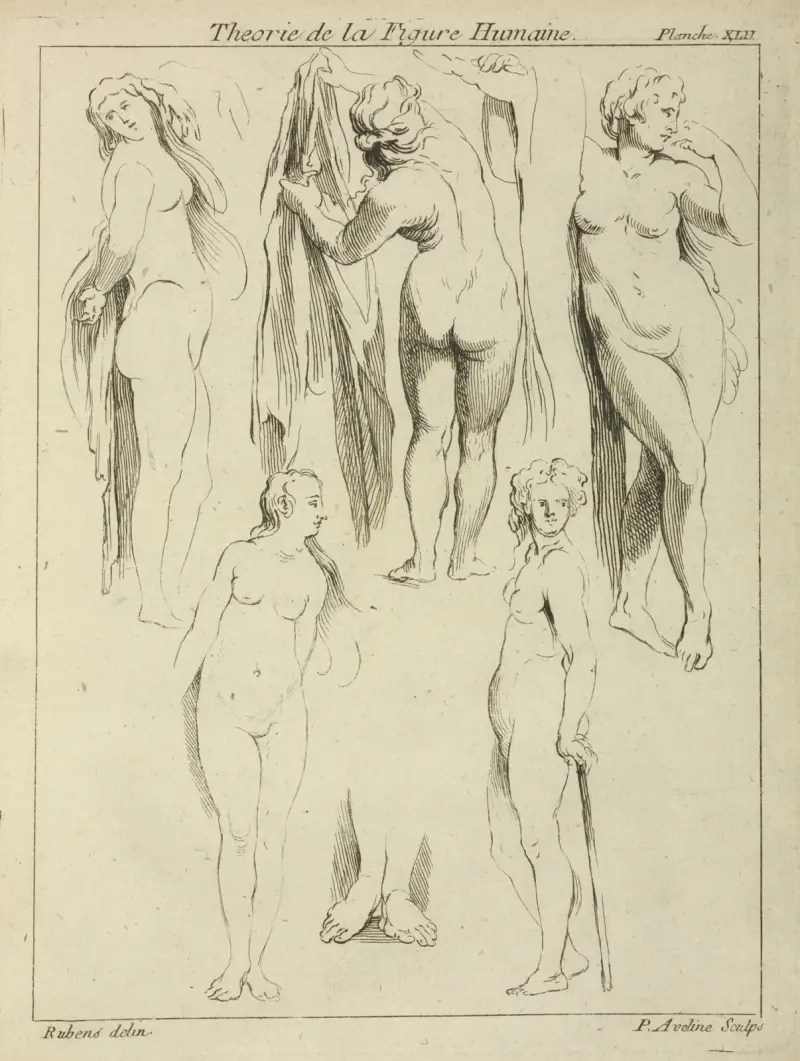 Studien stehender weiblicher Akte und ein Paar Füße von Peter Paul Rubens