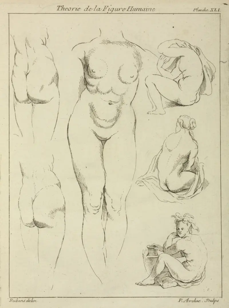 Studies of the female torso, buttocks, and seated figures, dorsal view av Peter Paul Rubens