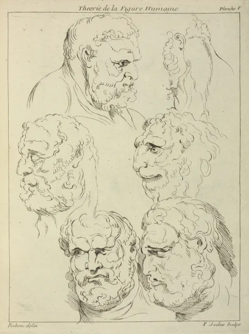 Studier av huvudet på en skäggig man och huvudet på en varelse av Peter Paul Rubens