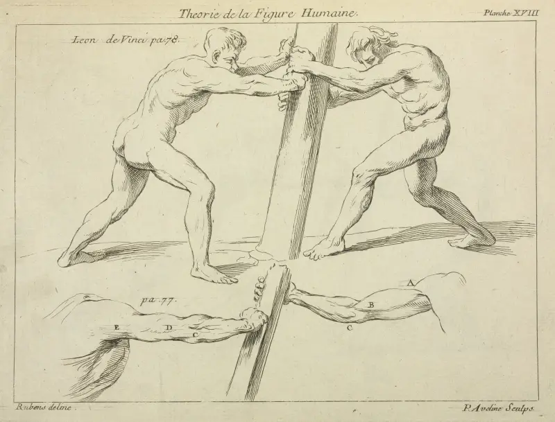 Studia dwóch postaci napierających na kolumnę, Peter Paul Rubens
