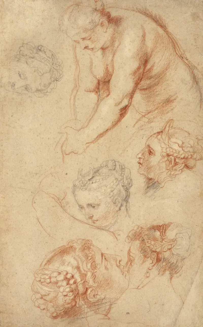 Kvinnostudier av Peter Paul Rubens