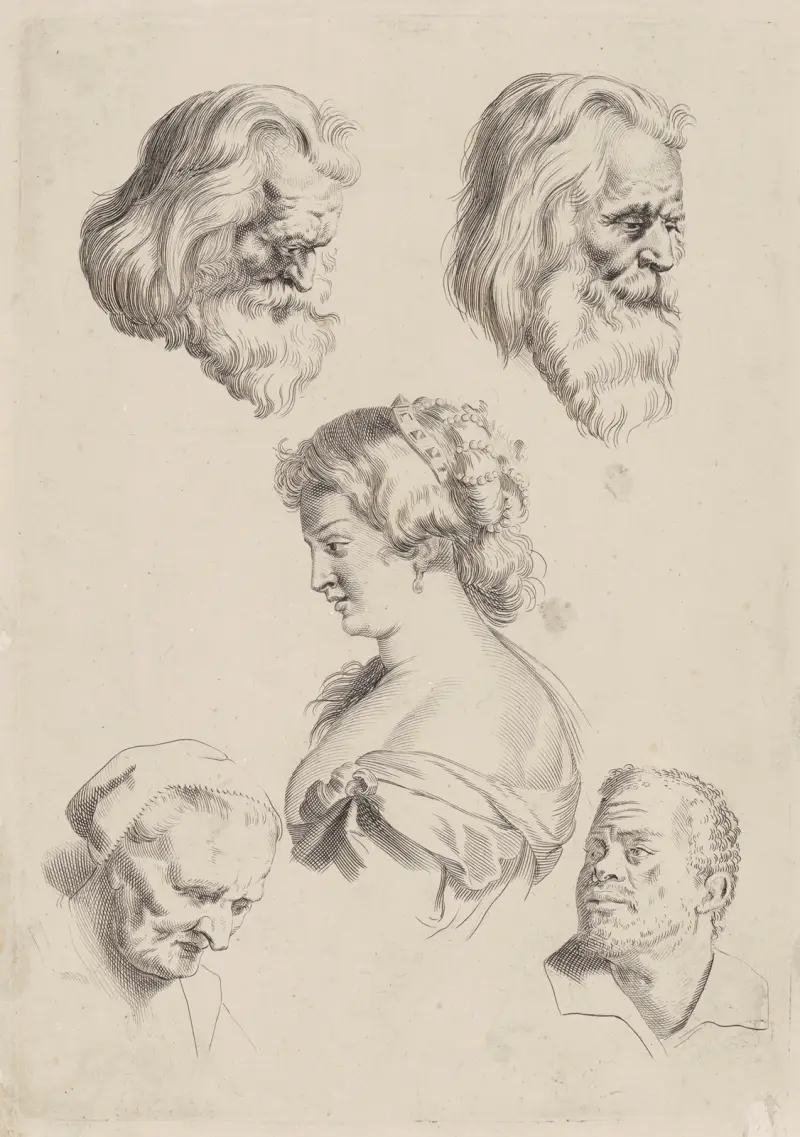 Studie der Köpfe – Nr. 2 von Peter Paul Rubens