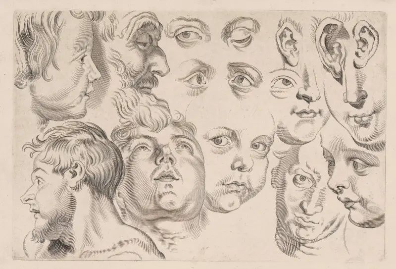 Huvudstudie – nr 3 av Peter Paul Rubens