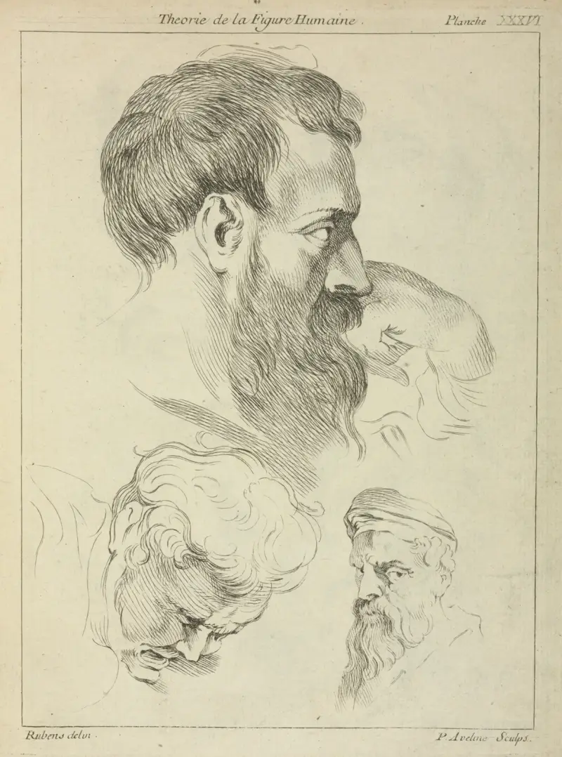 Three studies of men’s heads av Peter Paul Rubens