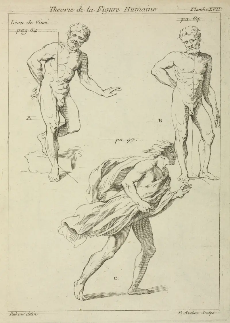 Tre studier av figuren av Peter Paul Rubens