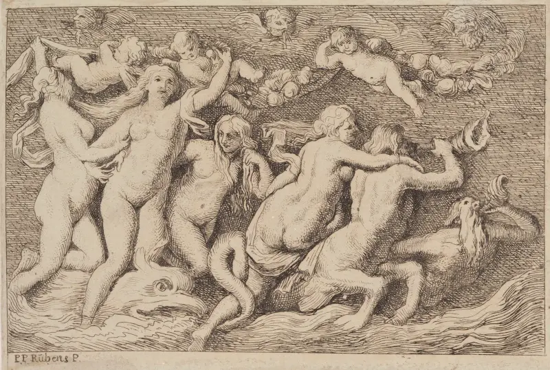 Venus, aus dem Meer aufsteigend von Peter Paul Rubens