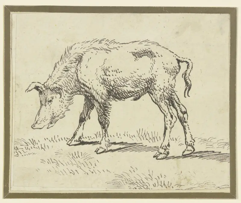 Ein Schwein nach links von Paulus Potter