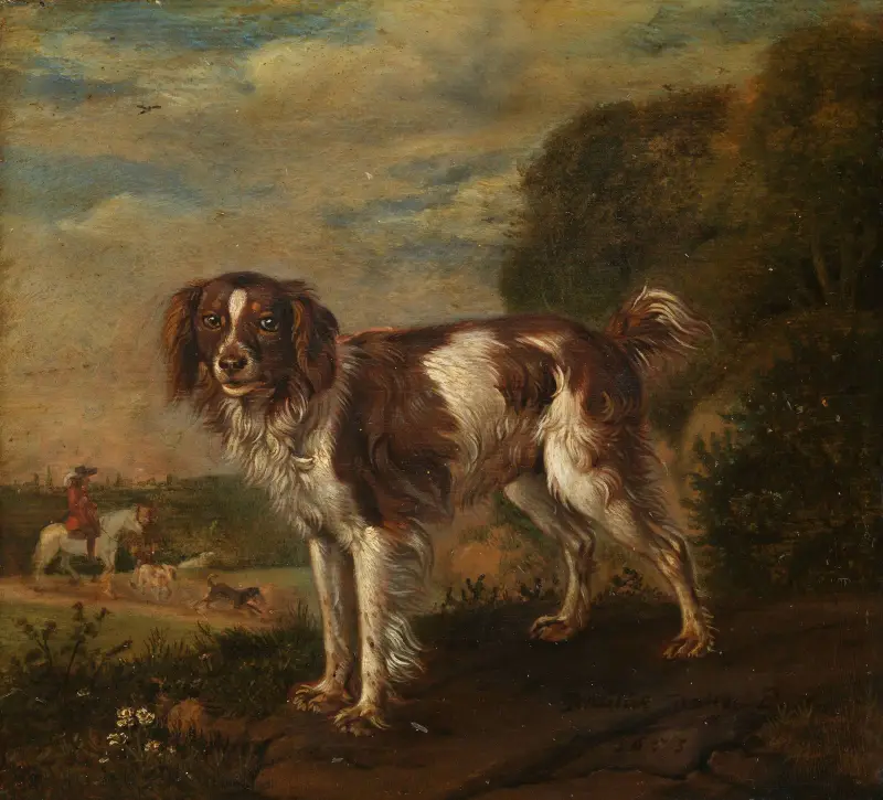 Španěl, Paulus Potter