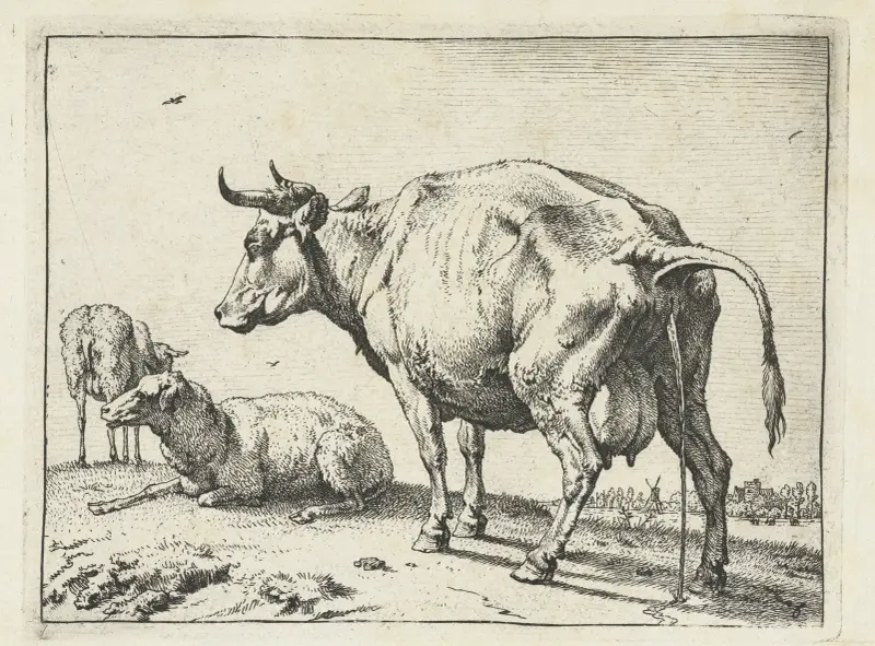 Cow peeing av Paulus Potter