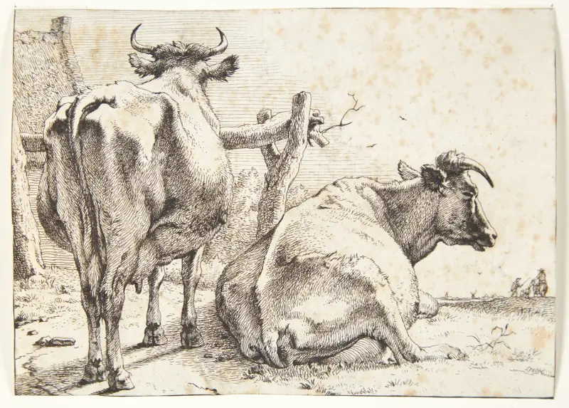 Zwei Kühe von hinten gesehen, 1650 – Nr. 1 von Paulus Potter