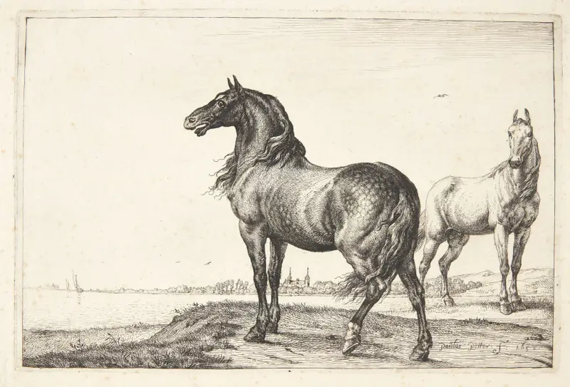 Wieherndes Pferd, 1652 – Nr. 2 von Paulus Potter