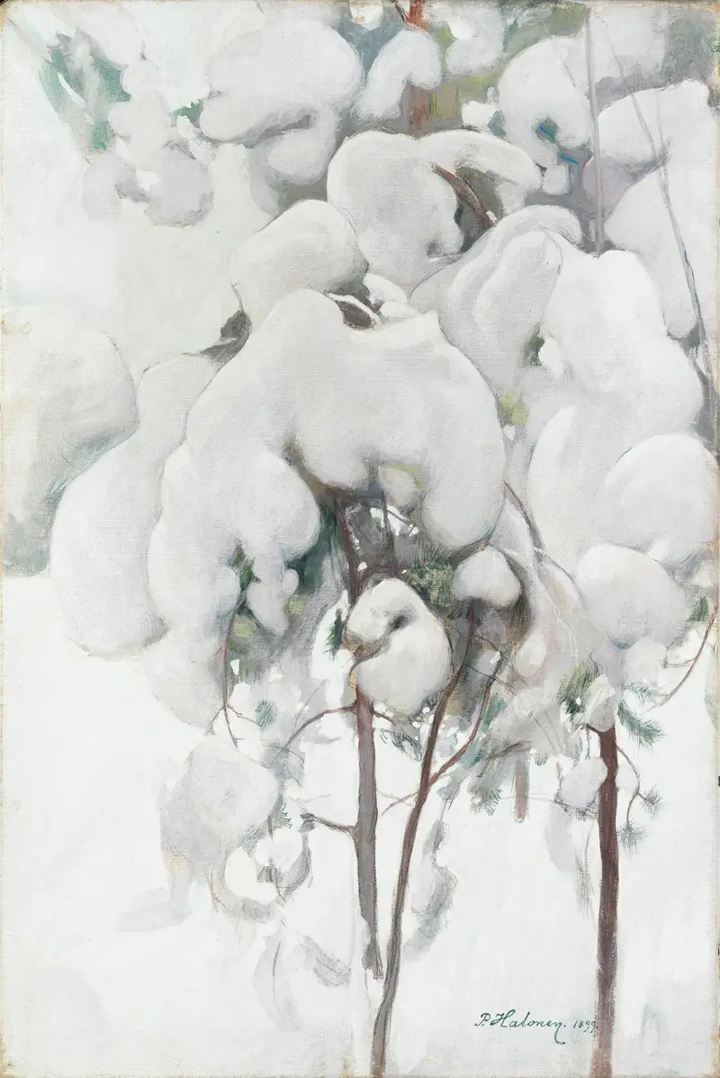 Snow-Covered Pine Saplings av Pekka Halonen