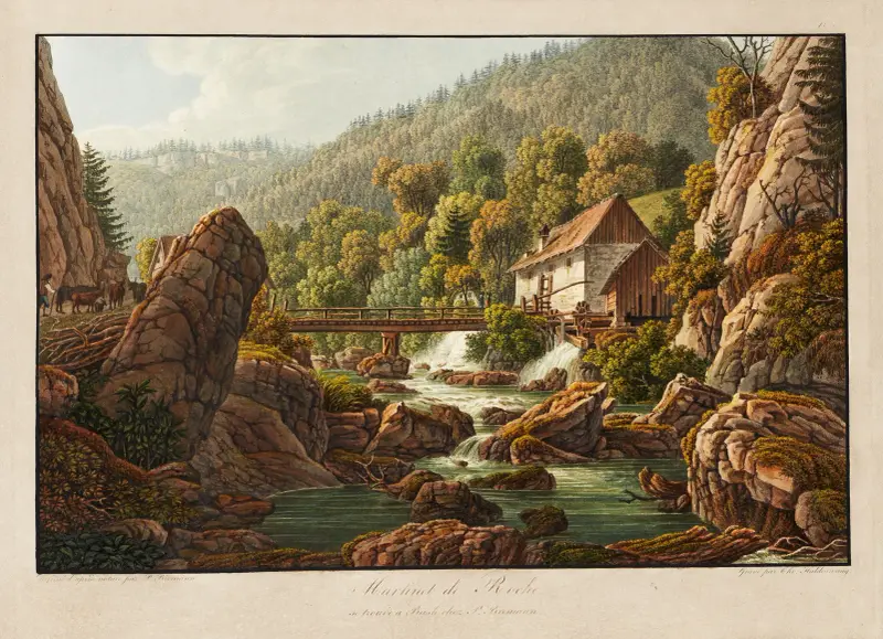 Martinet de Roche av Peter Birmann