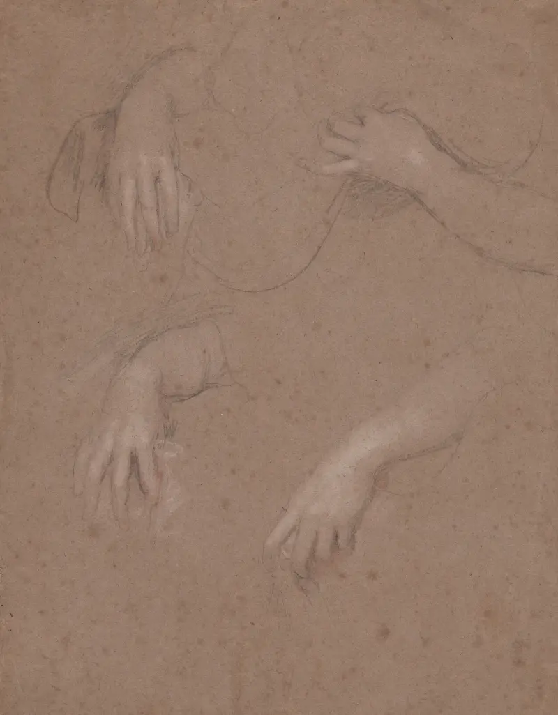 Drawings of Hands – nr 4 av Sir Peter Lely