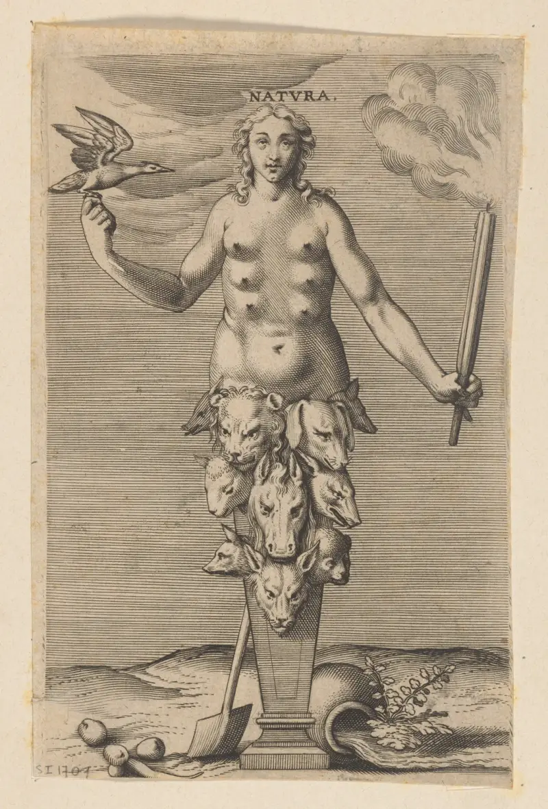 Natura av Philip Galle