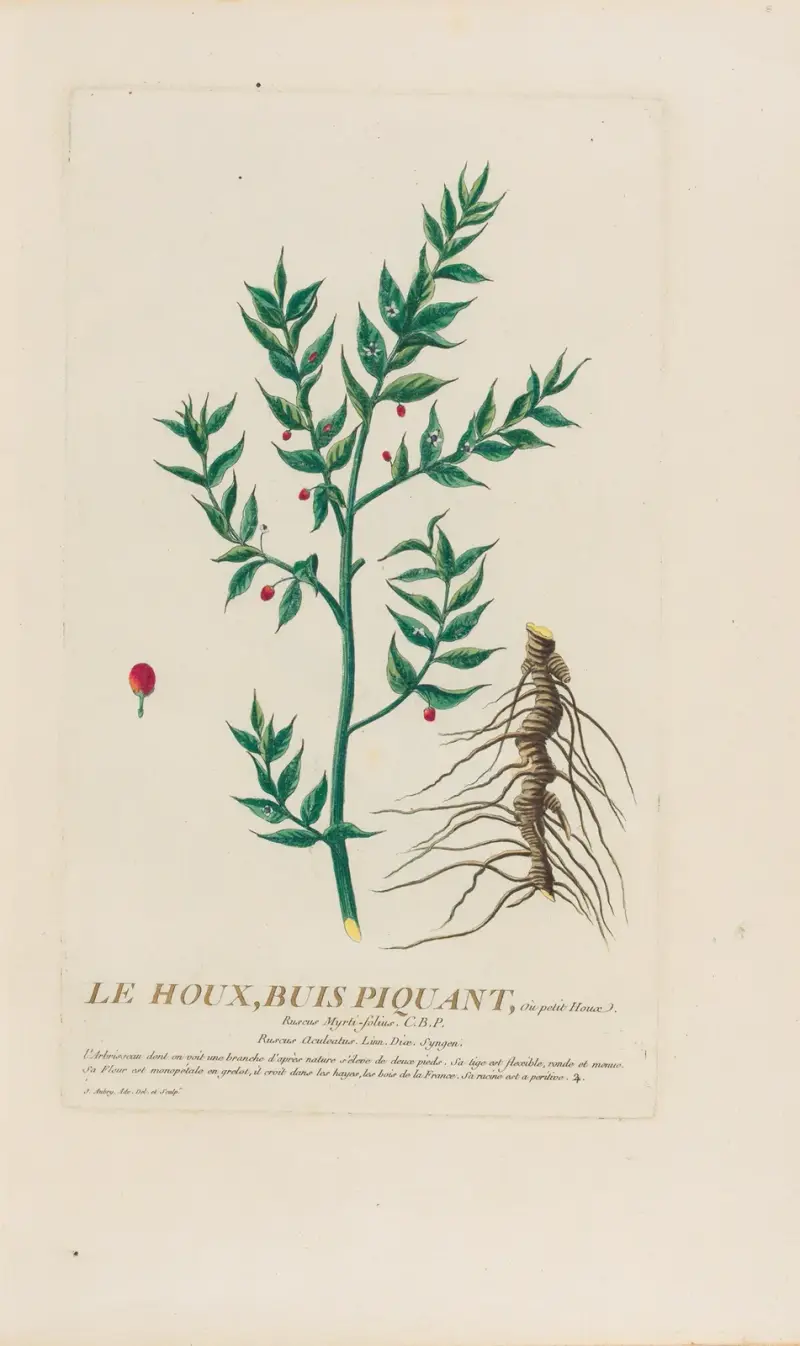 Järnek av Pierre Philippe Alyon