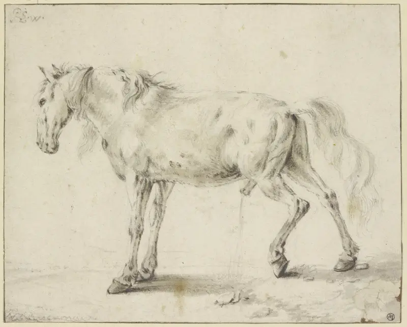 Urinierendes Pferd von Philips Wouwerman