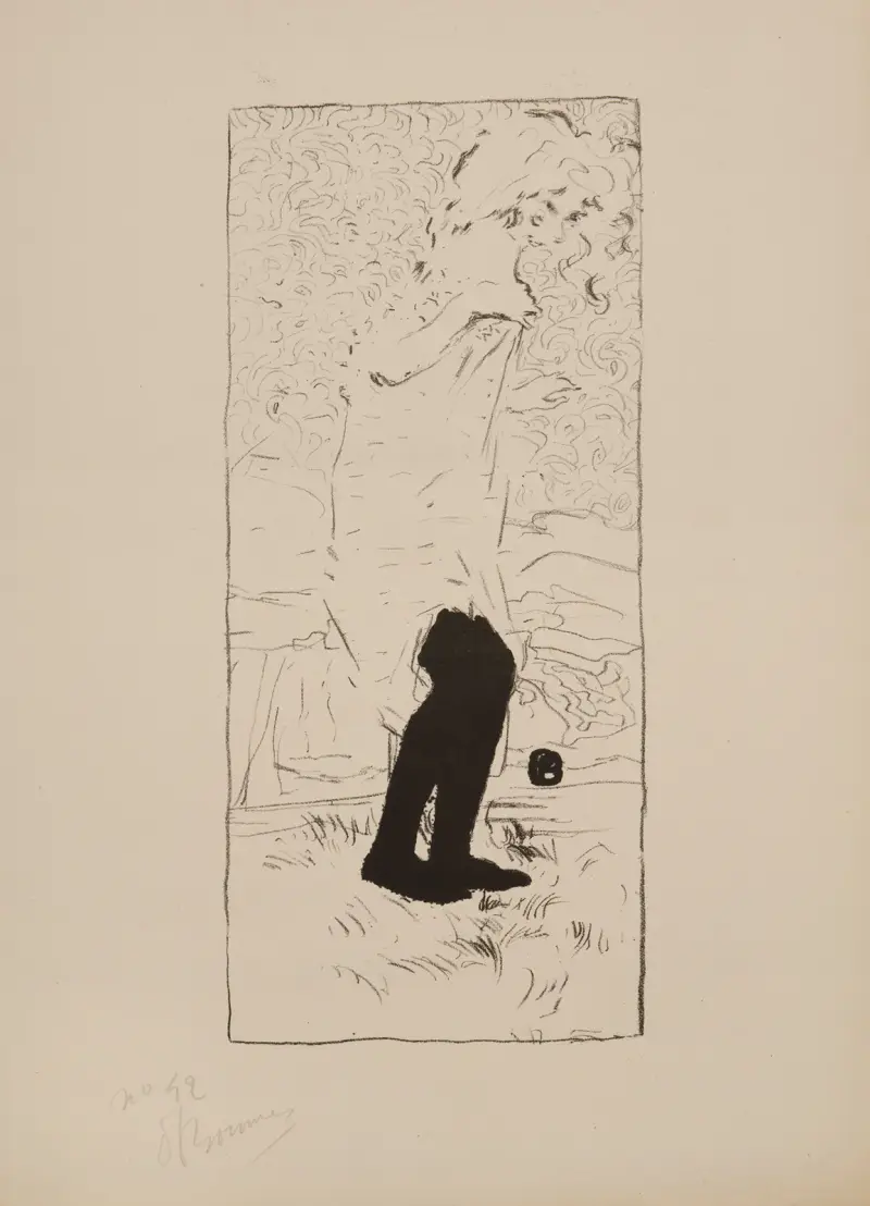 Im Privaten von Pierre Bonnard