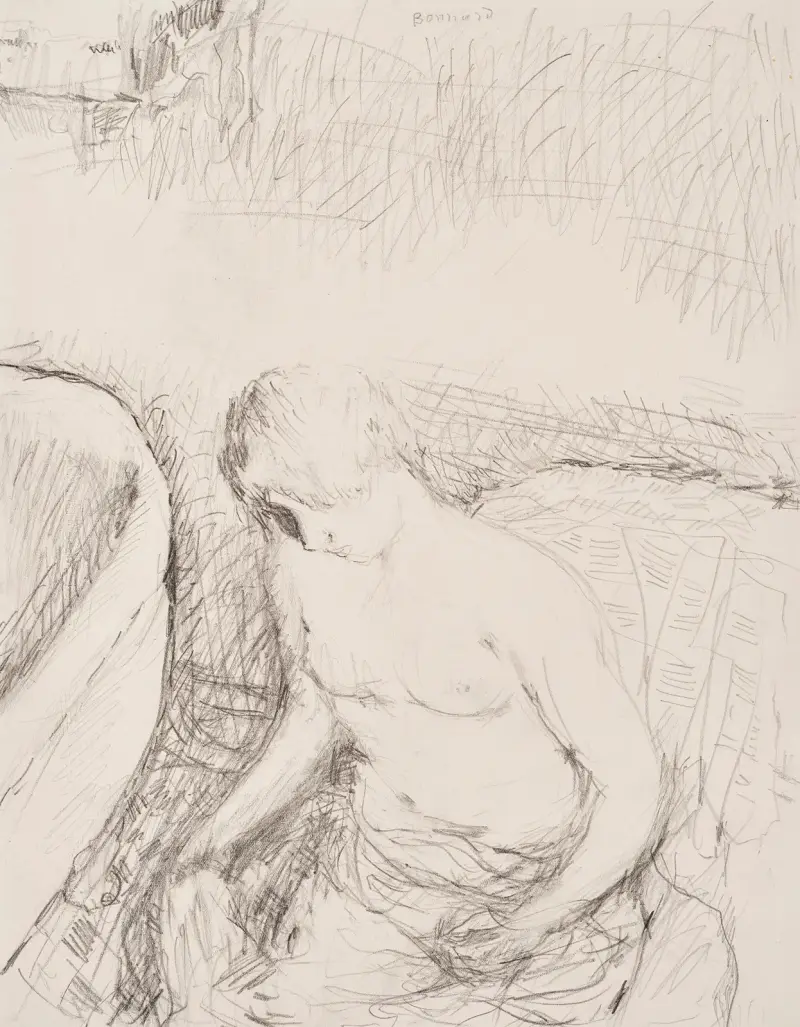 Ung kvinna vid sin toalett av Pierre Bonnard