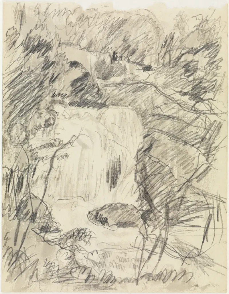 Wodospad, Pierre Bonnard