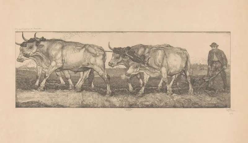 Oxarna av Pieter Dupont