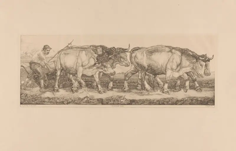 Pflügende Ochsen von Pieter Dupont