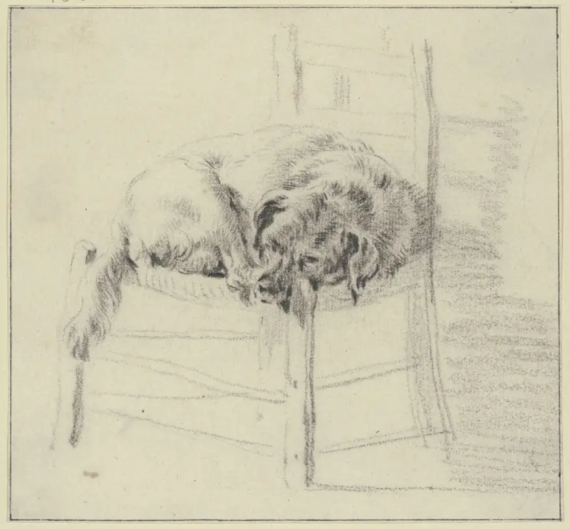 Ein Hund auf einem Stuhl liegend von Nicolaes Pietersz. Berchem