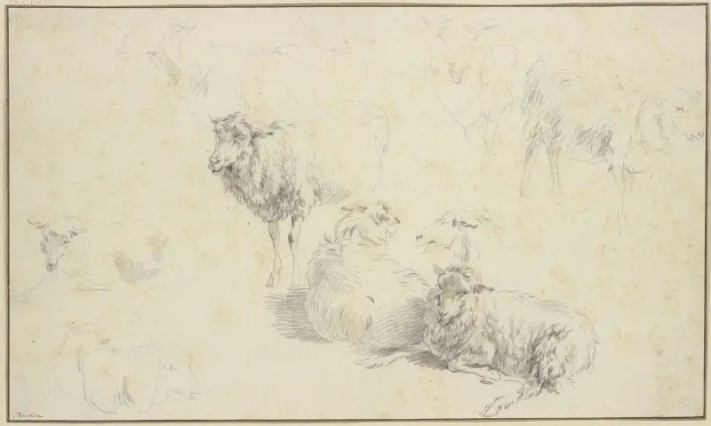 Nine sheep av Nicolaes Pietersz. Berchem