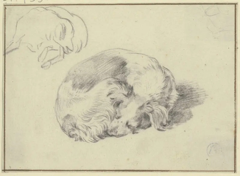 Zwei schlafende Hunde von Nicolaes Pietersz. Berchem