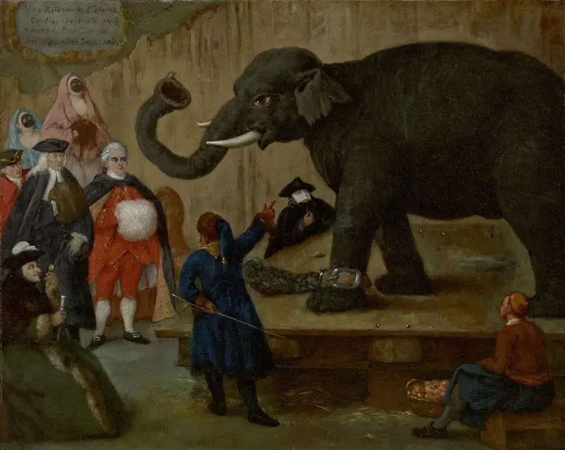 Pokaz słonia, Pietro Longhi