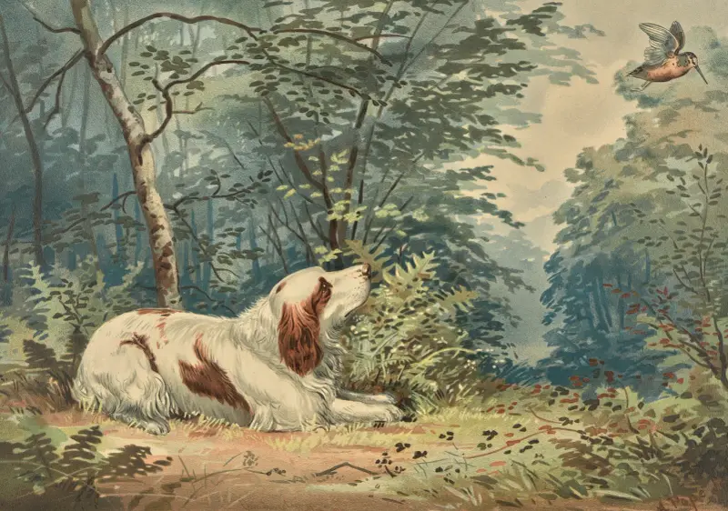 Liggande spaniel som betraktar en svävande kolibri av Alexander Pope Jr.