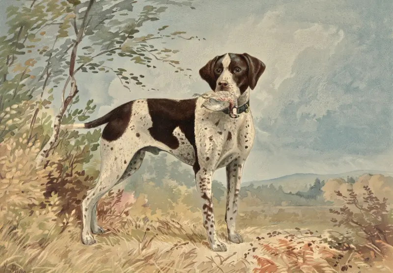 Stående engelsk pointer, vänd åt höger, fågel i munnen av Alexander Pope Jr.