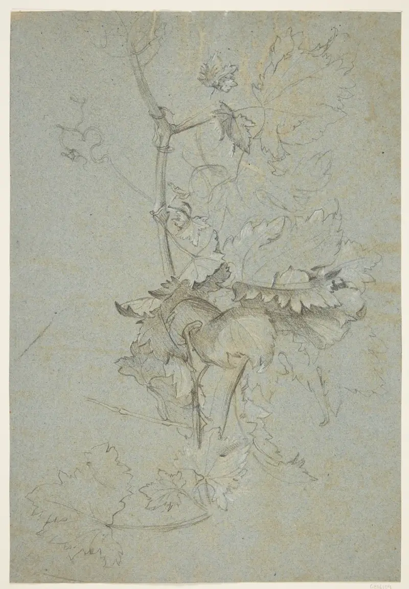 Plantestudie av Rachel Ruysch