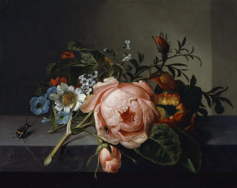 Stilleben med rosengren, skalbagge och bi av Rachel Ruysch