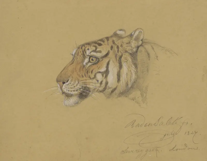 Tigerhuvud av Raden Saleh