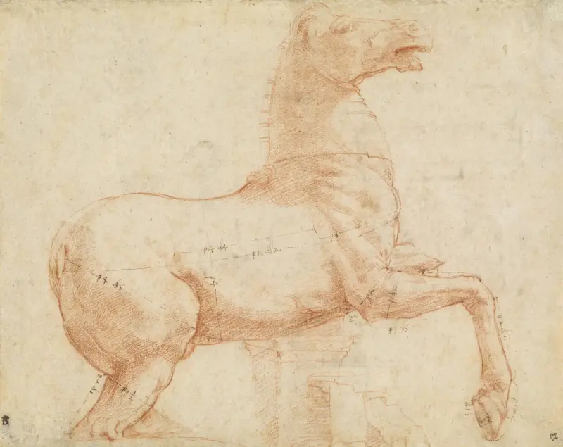 Ein Marmorpferd auf dem Quirinal (Recto) von Raphael